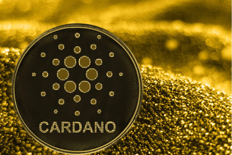 Cardano and DYP Lead Altcoin Market, Enter Metaverse Revolution