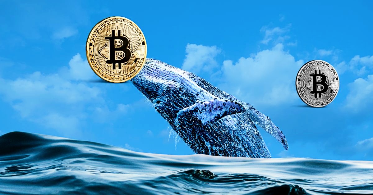 Crypto Market Soars: Bitcoin Whale Moves and InQubeta's AI Altcoin Surpasses XRP