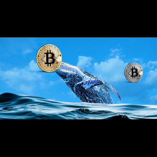 Crypto Market Soars: Bitcoin Whale Moves and InQubeta's AI Altcoin Surpasses XRP