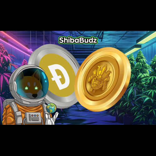 Dogecoin-Halbierung und Shiba Budz-Anstieg: Meme-Coin-Markt mischt sich