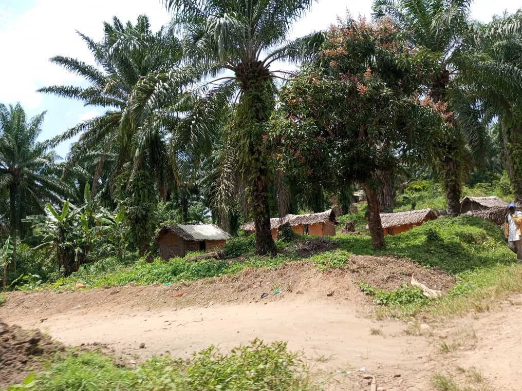 Toits remplacés sur les maisons endommagées par la tempête à Baswagha-Lubena