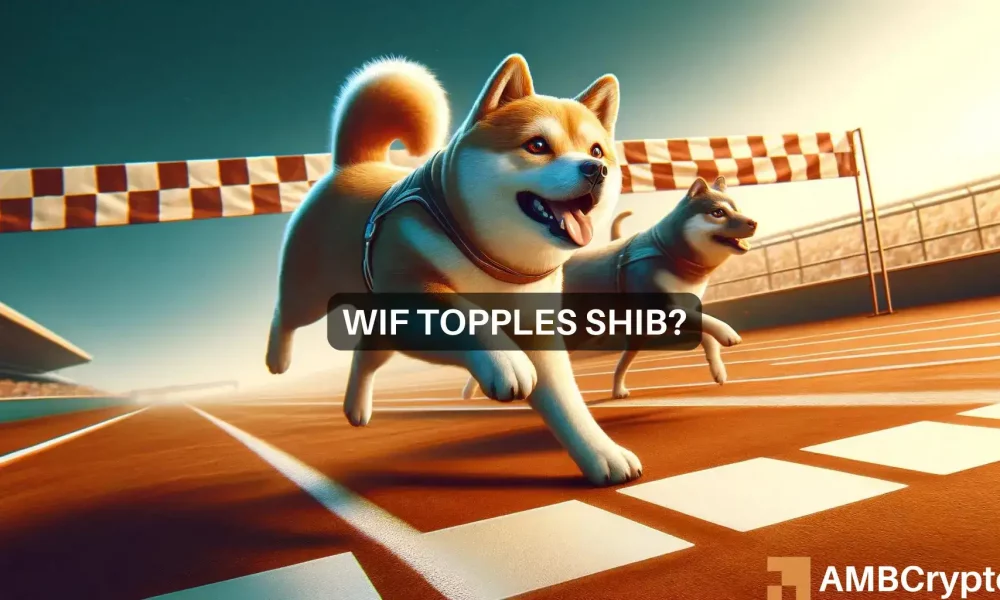 Dogwifhat 雄鹿市场低迷，超越竞争对手 Shiba Inu