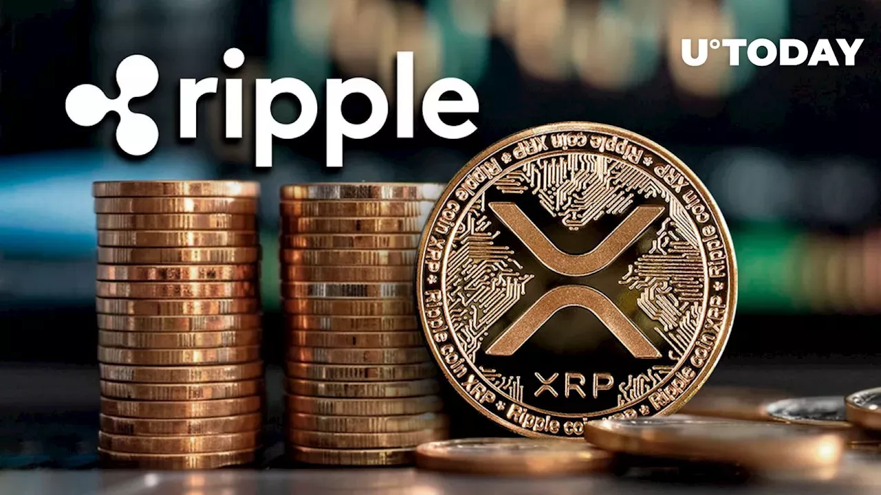 Ripple 神秘的加密货币传输引发市场动态争论