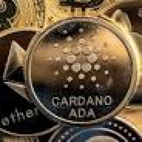 Borroe Finance($ROE)가 Cardano(ADA) 및 Avalanche(AVAX)보다 앞서 급등