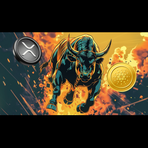 2024 Bull Cycle: Reassessing Crypto Investment Strategies Amidst Cardano (ADA) and Ripple (XRP) Concerns