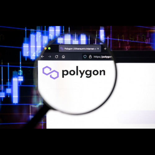 Crypto Experts Forecast Meteoric Rise for Polygon (MATIC), KangaMoon (KANG), and Tron (TRX)