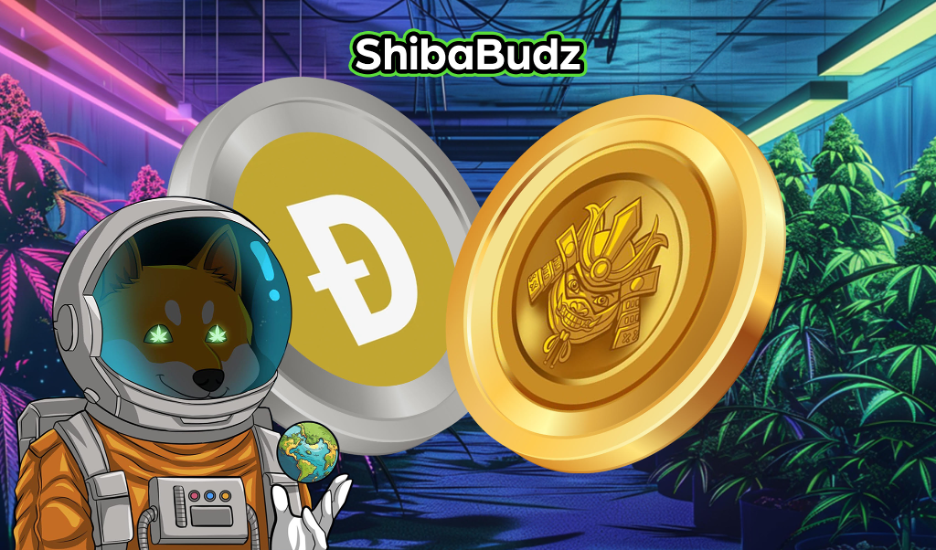 Crypto Upheaval: Shiba Inu and Dogecoin Slide, Shiba Budz Surges