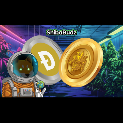 Crypto Upheaval: Shiba Inu and Dogecoin Slide, Shiba Budz Surges