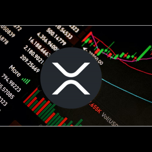 La tourmente du marché des crypto-monnaies éclipse le XRP et sème le doute