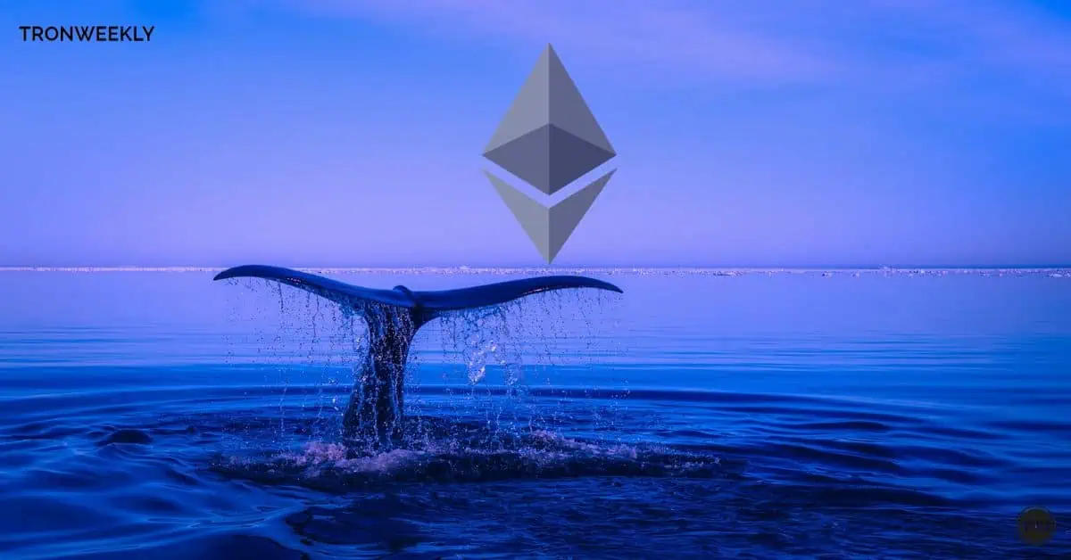 Les transactions sur les baleines Ethereum suscitent des inquiétudes sur le marché