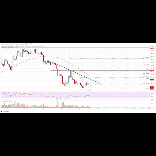 Bitcoin Cash Dips Amidst Renewed Downward Pressure, Key Supports Tested