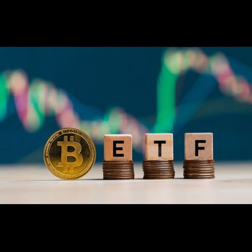 Bitcoin ETF Outflows: A Temporary Blip or a Broader Shift?