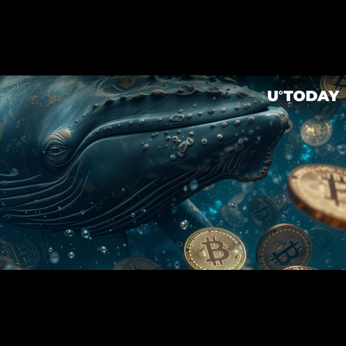 Bitcoin Whales Profit Big As Halving Nears