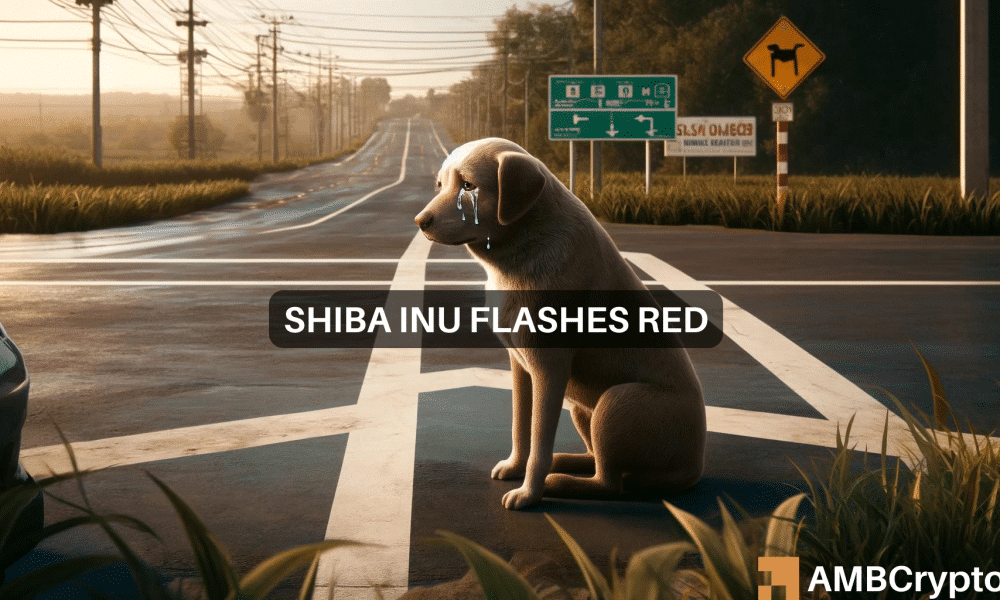 Shiba Inu Eyes Potential Downward Slide as Parabolic SAR Signals Bearish Trend