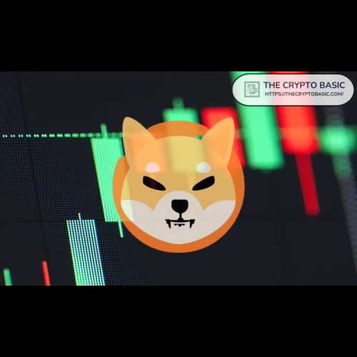 Shiba Inu Finds Strong Floor, Whales Accumulate Amidst Market Turbulence