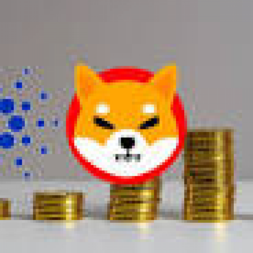 Cardano는 Toncoin, Dogecoin 및 Shiba Inu의 급등으로 상위 10위 밖으로 떨어졌습니다.