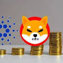 Cardano Falls from Top 10 Cryptos as Toncoin, Dogecoin Surge