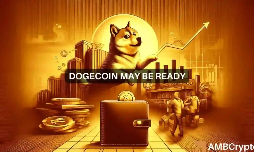 Dogecoin Eyes Short-Term Dip Despite Major Transaction