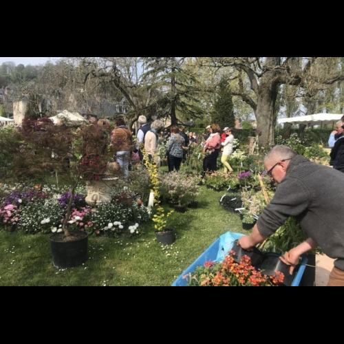 Passionately Garden Show: A Springtime Rendezvous for Horticulture and Outdoor Living