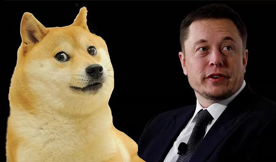 Dogecoin 커뮤니티는 비트코인 ​​반감기 'Doge Day'를 기념하지만 Elon Musk는 SpaceX 기념일을 우선시합니다.