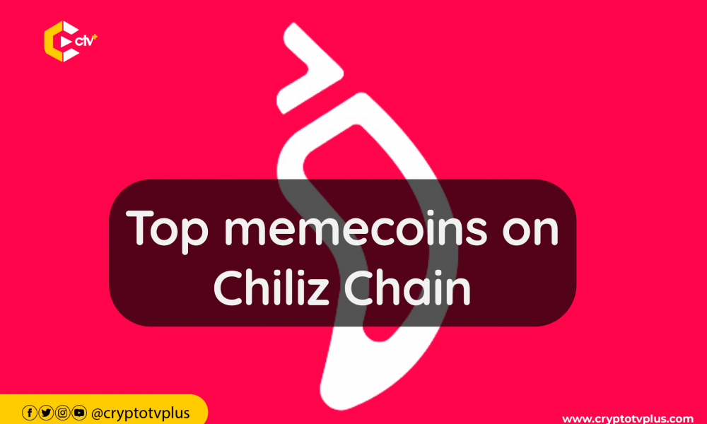 Memecoin gedeiht im Chiliz Chain Network: Neue Stars entstehen