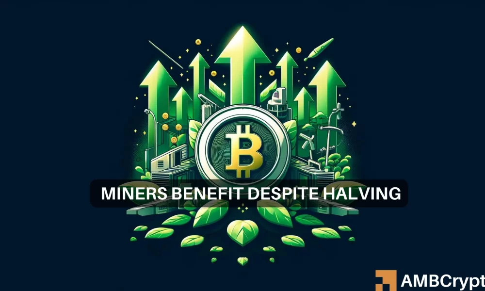 Bitcoin steigt nach der Halbierung stark an: Die Gewinne der Miner steigen, die Netzwerkaktivität explodiert