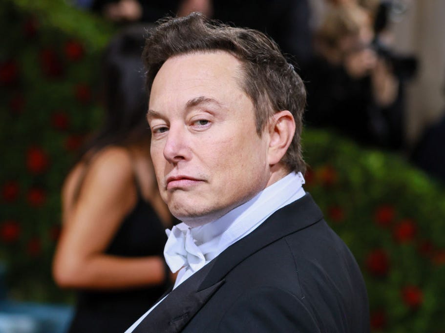 Elon Musk: A Furry Peek into the Life of a Tech Titan