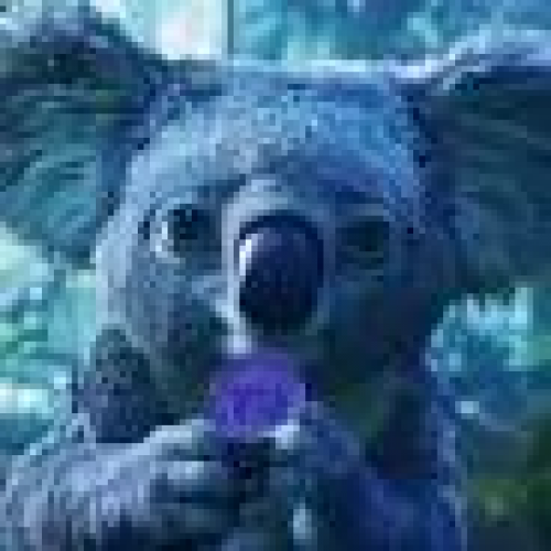 Koala Coin Soars Amidst Market Slump, Unveils Playful Innovation