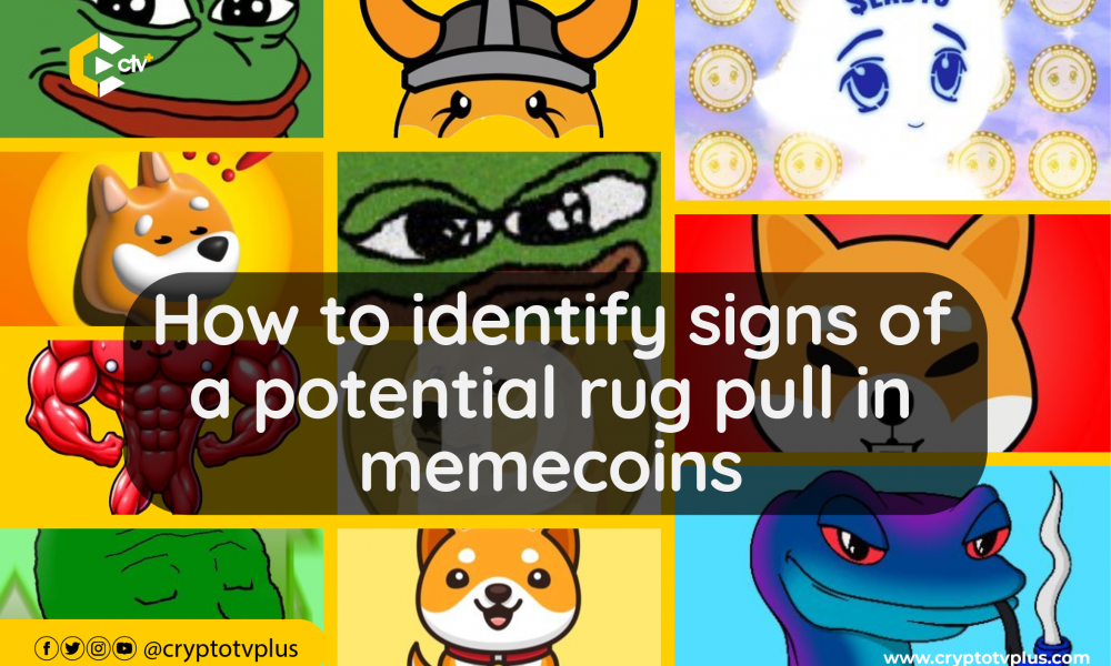 Memecoin Mania: Allure and Perils of the Crypto Craze