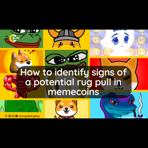 Memecoin Mania: Allure and Perils of the Crypto Craze