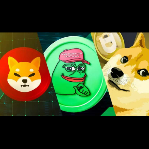 Shiba Budz devient concurrent dans Meme Coin Arena pour défier la domination de Shiba Inu