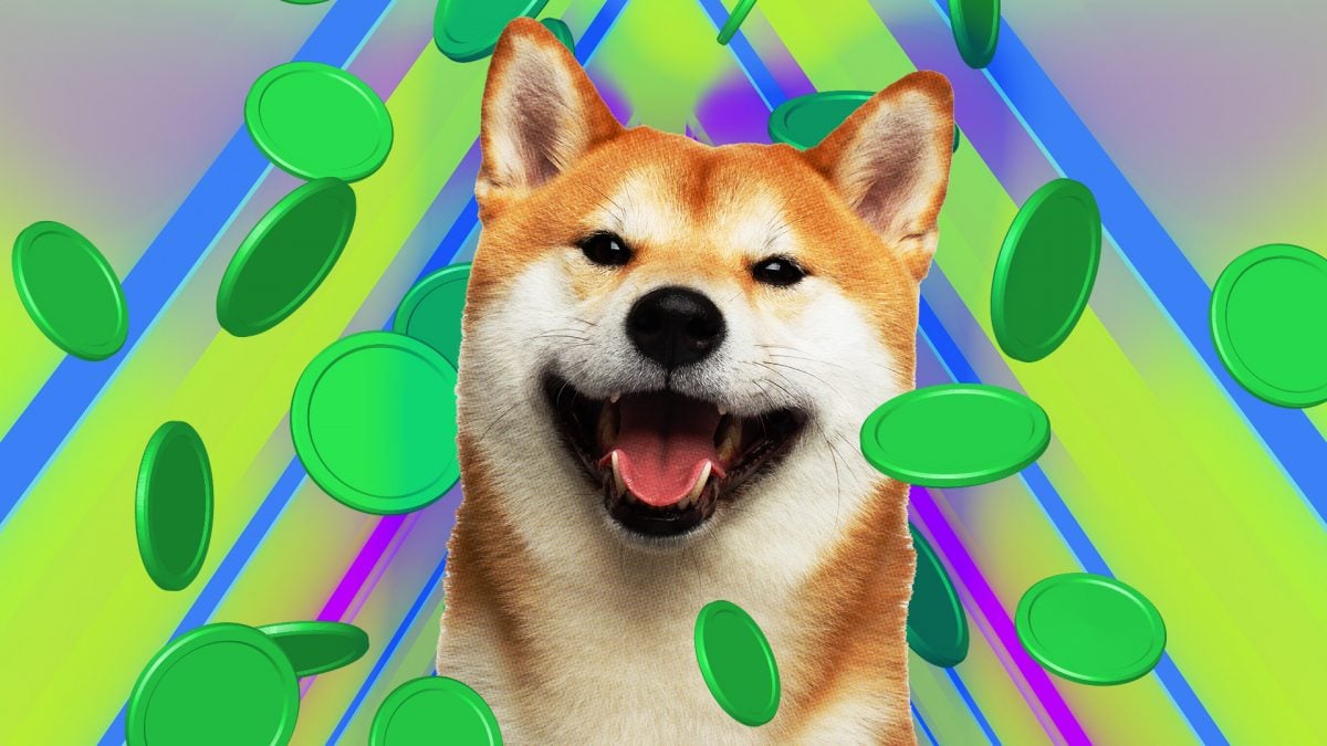 Shiba Inu lance une blockchain axée sur la confidentialité et un jeton TREAT avec un investissement de 12 millions de dollars