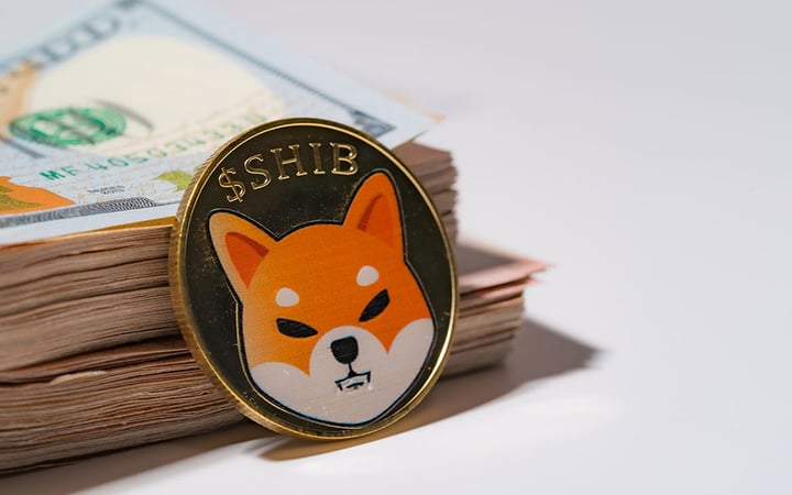 Shiba Inu obtient un financement de 12 millions de dollars pour alimenter le développement de la blockchain et l'expansion de l'écosystème