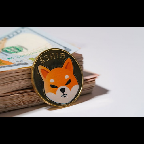 Shiba Inu obtient un financement de 12 millions de dollars pour alimenter le développement de la blockchain et l'expansion de l'écosystème