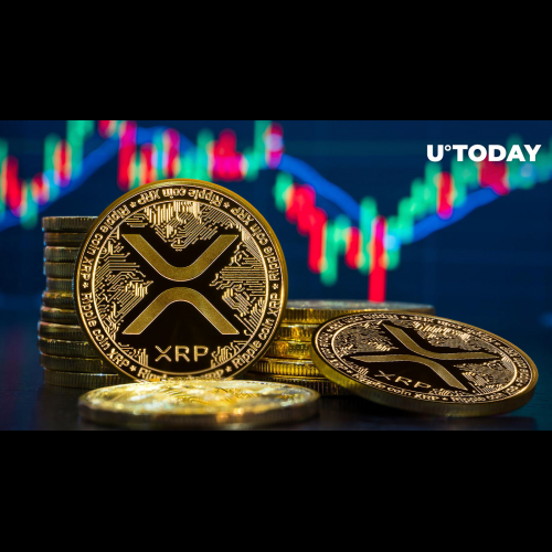 XRP Bucks Outflow Trend, Defies Market Headwinds