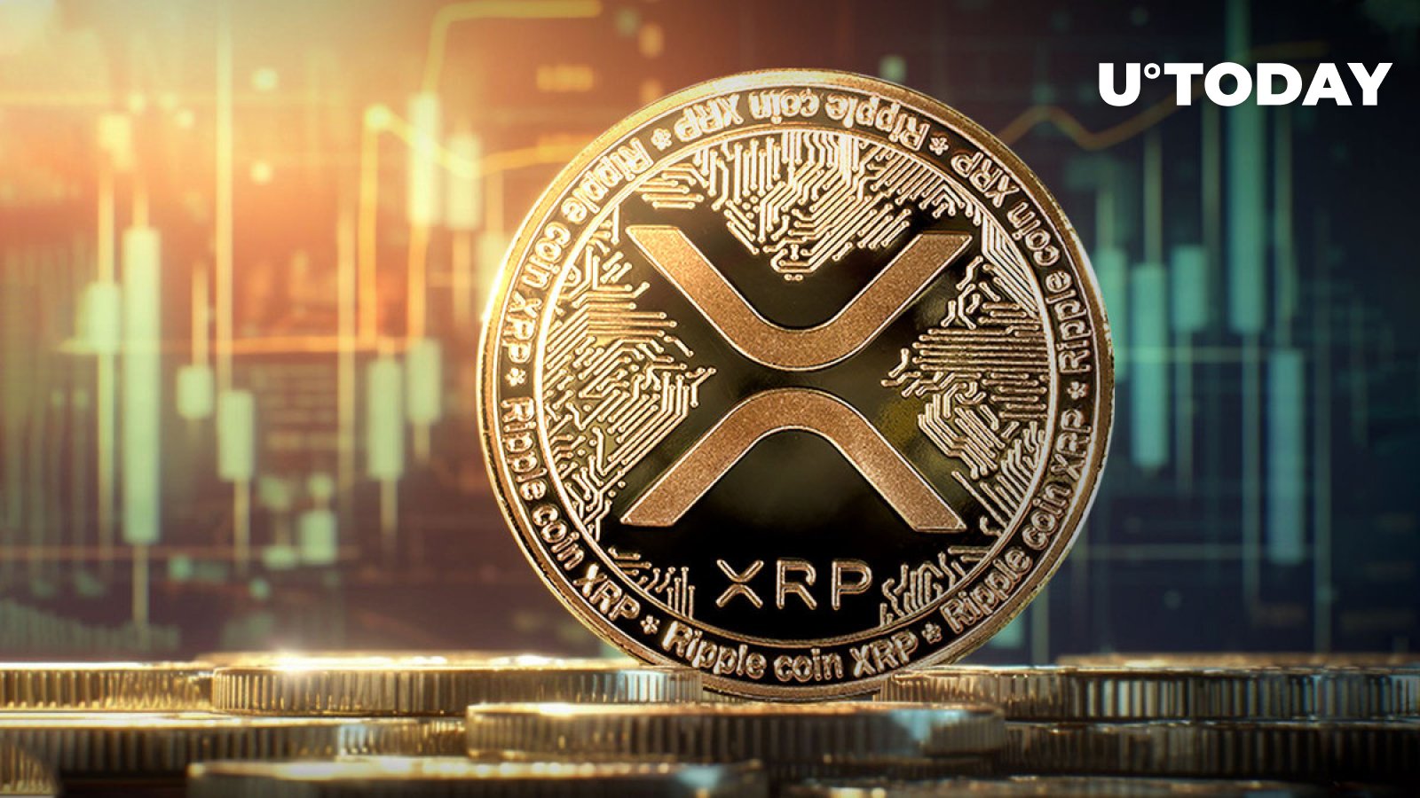 XRP Skyrockets: Bulls Charge in Market Rally