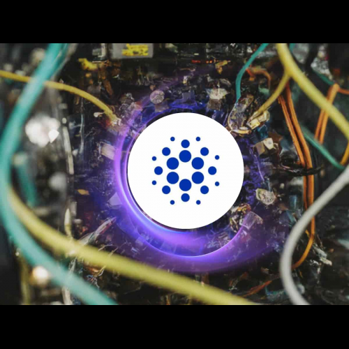 Cardano connaît une forte croissance, Borroe Finance se prépare à une croissance exponentielle