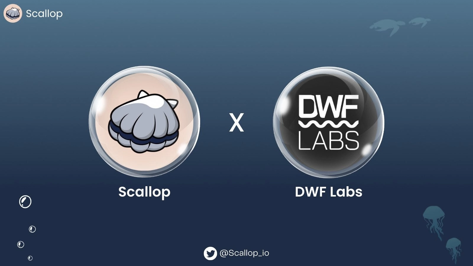 Scallop reçoit un investissement de DWF Labs pour faire progresser le développement de l'écosystème