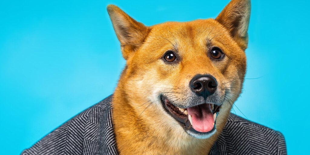 Shiba Inu obtient 12 millions de dollars pour une blockchain de couche 3 améliorant la confidentialité