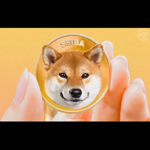 Shiba Inu Secures $12 Million for Trailblazing Privacy Blockchain