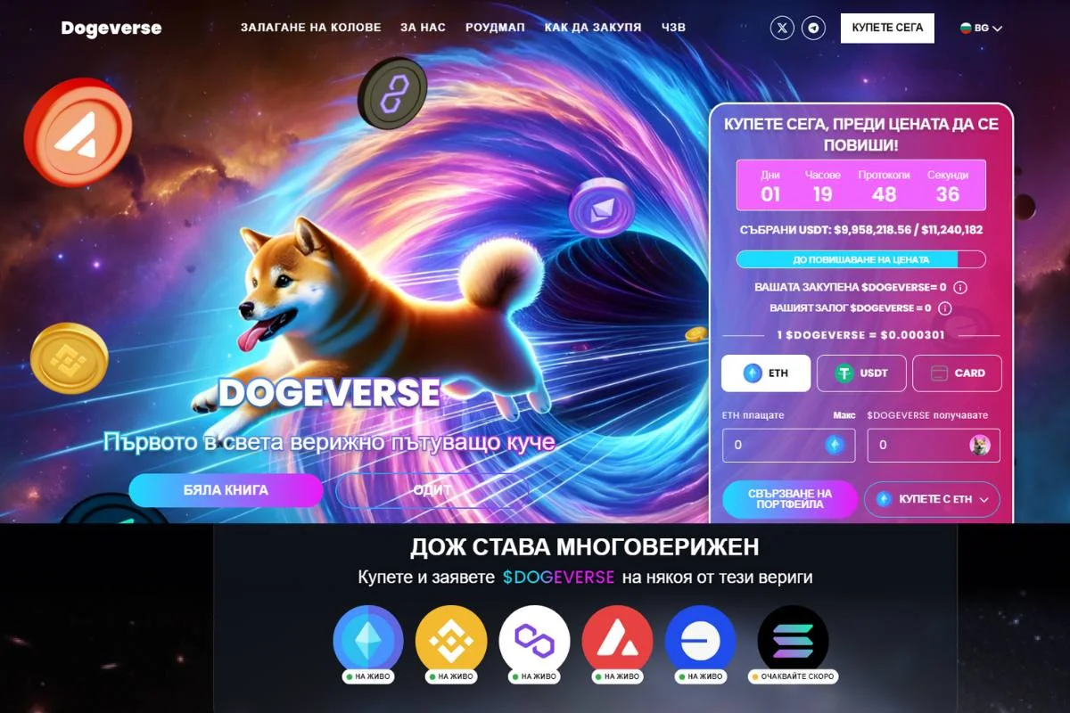 Dogeverse 冲向 1000 万美元大关，震撼加密货币格局