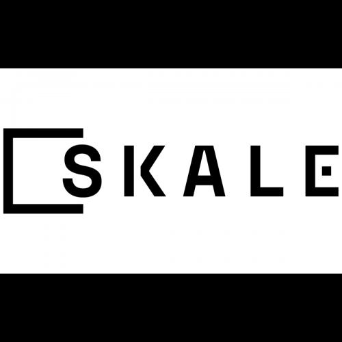 SKALE revolutioniert die Skalierung von Ethereum und übersteigt 300 Millionen Transaktionen ohne Gasgebühren