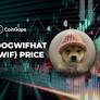 Solana Meme Coin Dogwifhat (WIF) 飆升超過 20%，標誌著山寨幣復甦