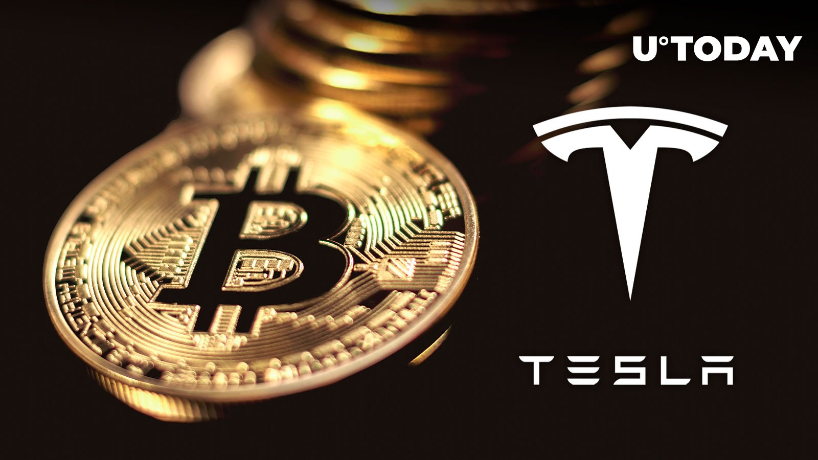 Trotz finanzieller Probleme übersteht Teslas Krypto-Asset die Marktturbulenzen