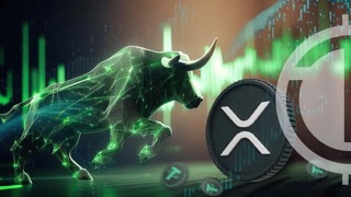 随着 SEC 诉讼逐步解决，监管环境清晰，XRP 有望触及 100 美元