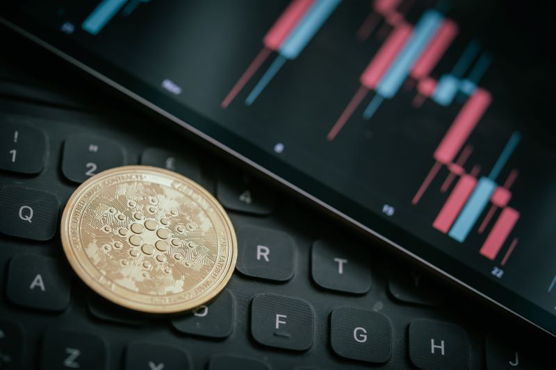 Cardano Enigma : malgré la montée en flèche des cryptomonnaies, seuls 35 % des détenteurs en profitent