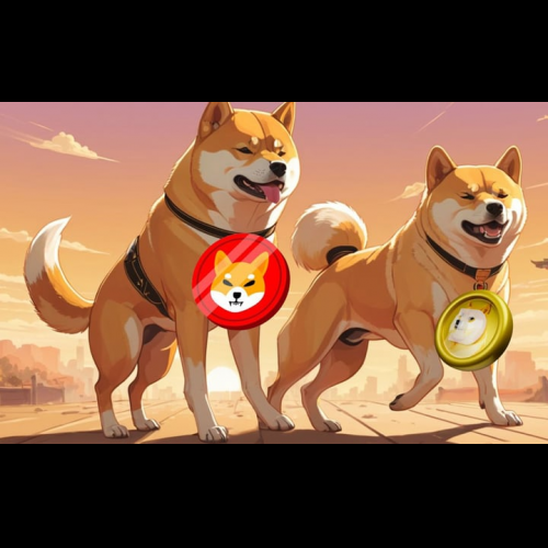 Retik Finance: Shiba Inu와 Dogecoin을 능가할 떠오르는 스타