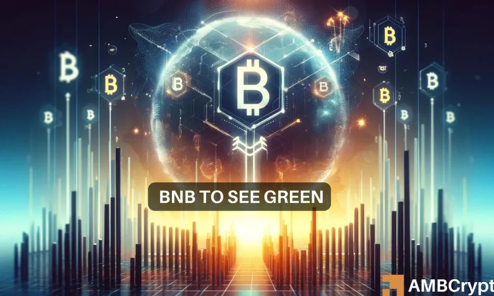 BNB 네트워크는 규제 문제 속에서 번창하지만 비관론은 여전히 ​​남아 있습니다.