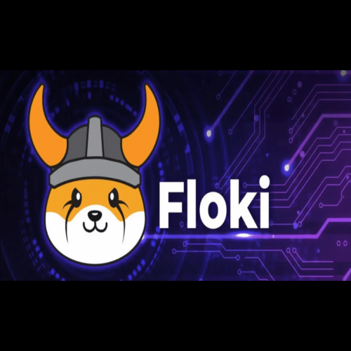 Floki 和 Shiba Budz：Meme 币随着市场升温而火爆