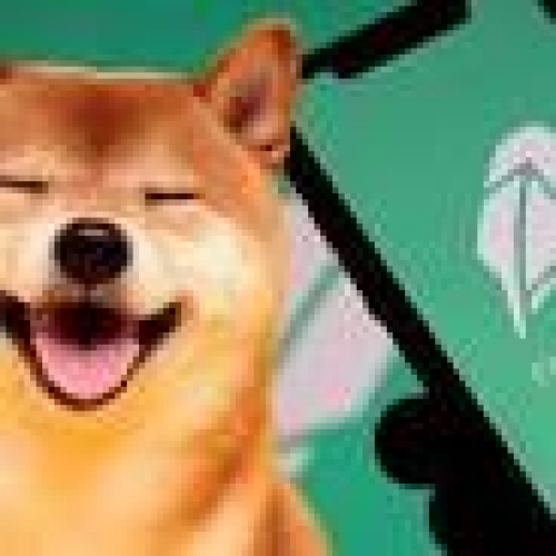 Robinhood的战略赌博：上市柴犬以提升交易量